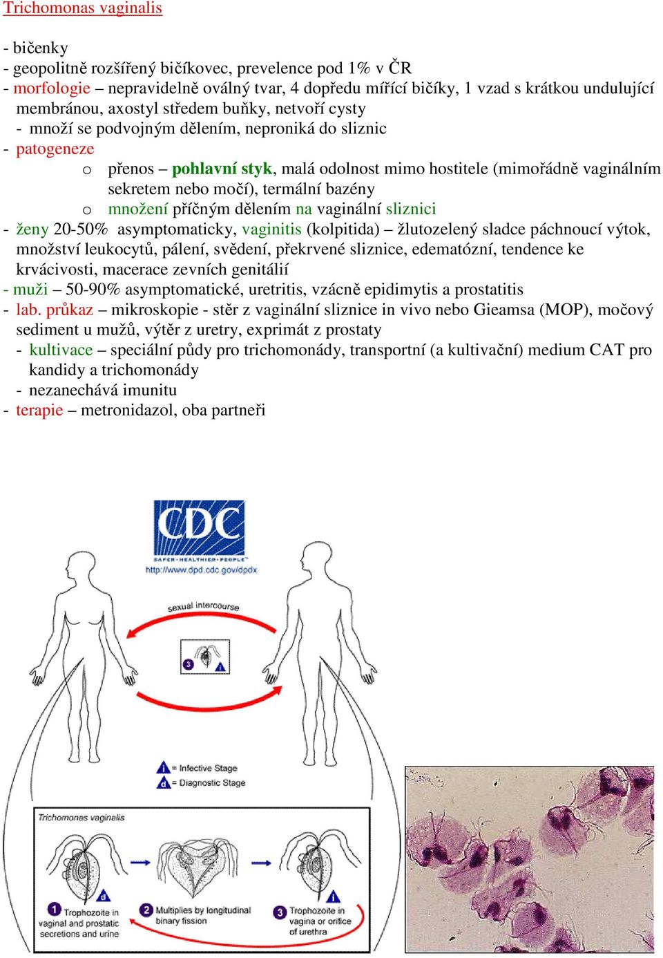 bazény o množení příčným dělením na vaginální sliznici - ženy 20-50% asymptomaticky, vaginitis (kolpitida) žlutozelený sladce páchnoucí výtok, množství leukocytů, pálení, svědení, překrvené sliznice,
