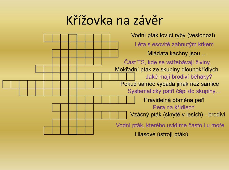 Pokud samec vypadá jinak než samice Systematicky patří čápi do skupiny Pravidelná obměna peří Pera na