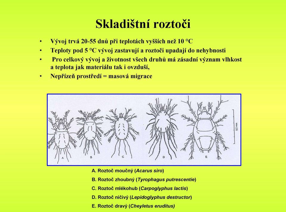 i ovzduší, Nepřízeň prostředí = masová migrace A. Roztoč moučný (Acarus siro) B.