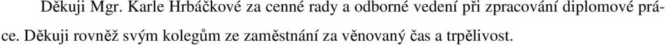 vedení při zpracování diplomové práce.