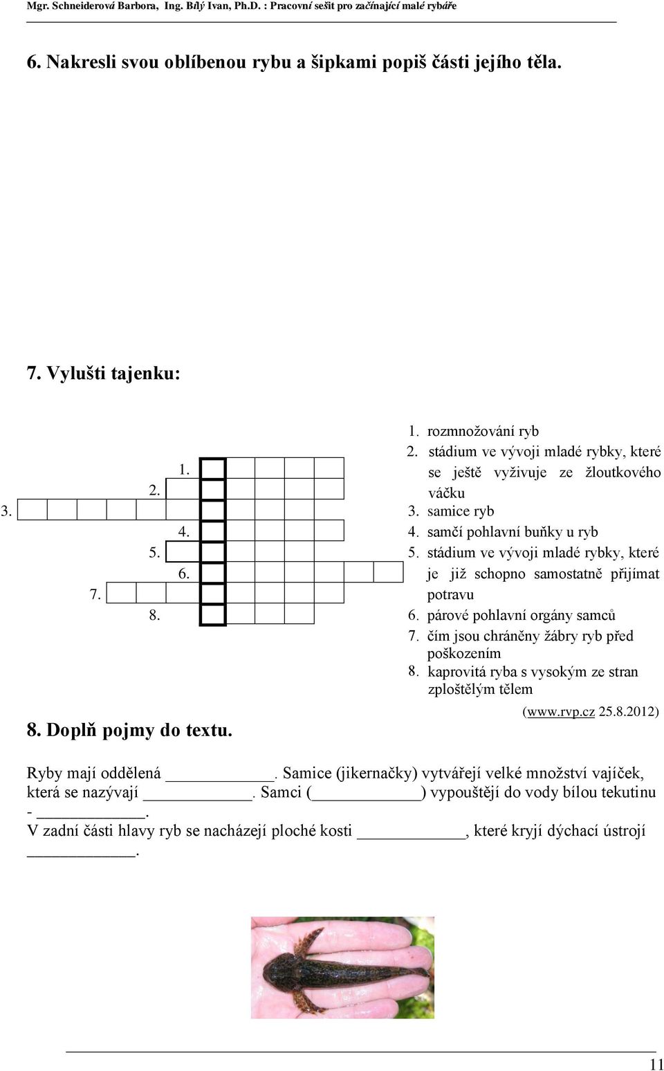 čím jsou chráněny žábry ryb před poškozením 8. kaprovitá ryba s vysokým ze stran zploštělým tělem 8. Doplň pojmy do textu. (www.rvp.cz 25.8.2012) Ryby mají oddělená.