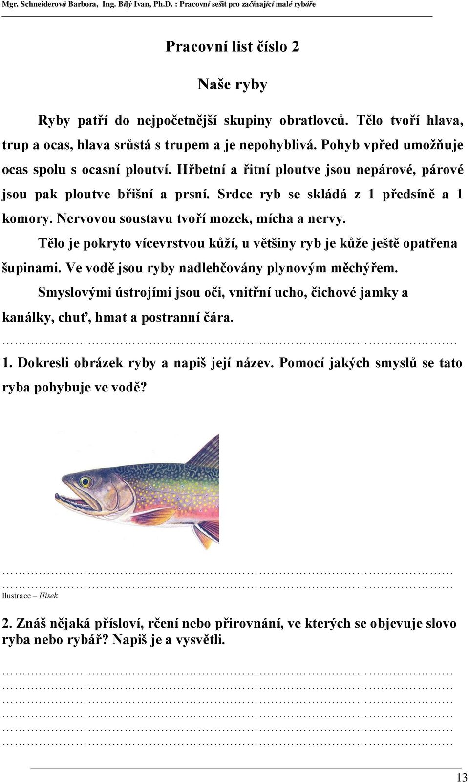 Tělo je pokryto vícevrstvou kůží, u většiny ryb je kůže ještě opatřena šupinami. Ve vodě jsou ryby nadlehčovány plynovým měchýřem.