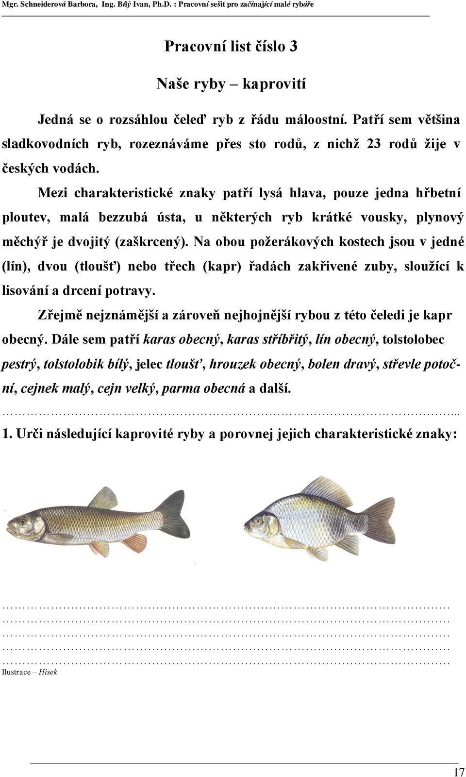 Na obou požerákových kostech jsou v jedné (lín), dvou (tloušť) nebo třech (kapr) řadách zakřivené zuby, sloužící k lisování a drcení potravy.