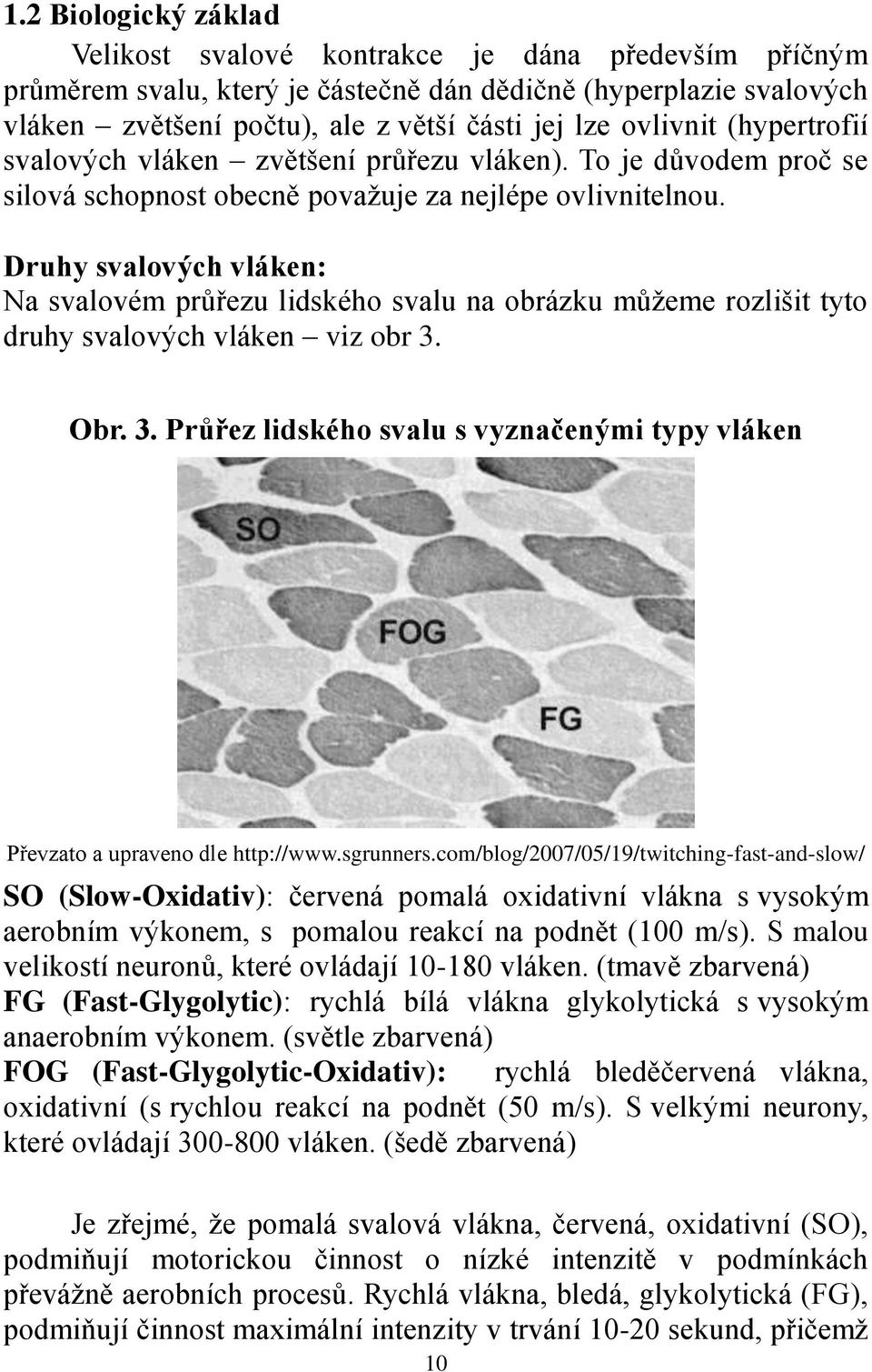 Druhy svalových vláken: Na svalovém průřezu lidského svalu na obrázku můžeme rozlišit tyto druhy svalových vláken viz obr 3.