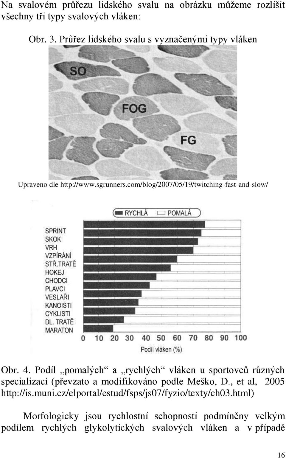 Podíl pomalých a rychlých vláken u sportovců různých specializací (převzato a modifikováno podle Meško, D., et al, 2005 http://is.muni.