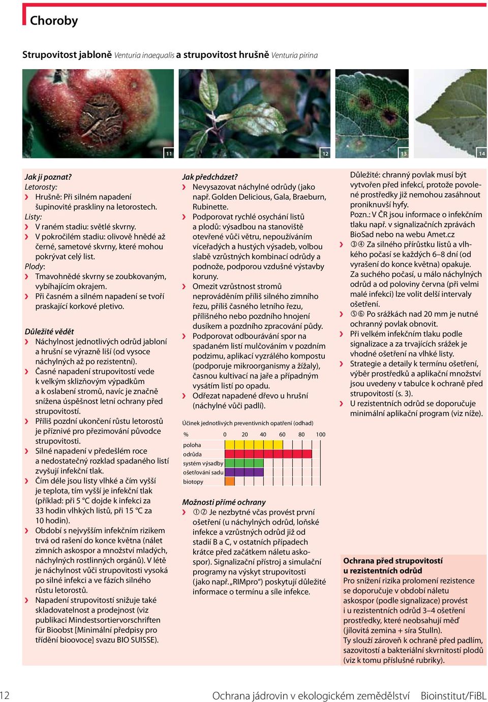 Při časném a silném napadení se tvoří praskající korkové pletivo. Náchylnost jednotlivých odrůd jabloní a hrušní se výrazně liší (od vysoce náchylných až po rezistentní).