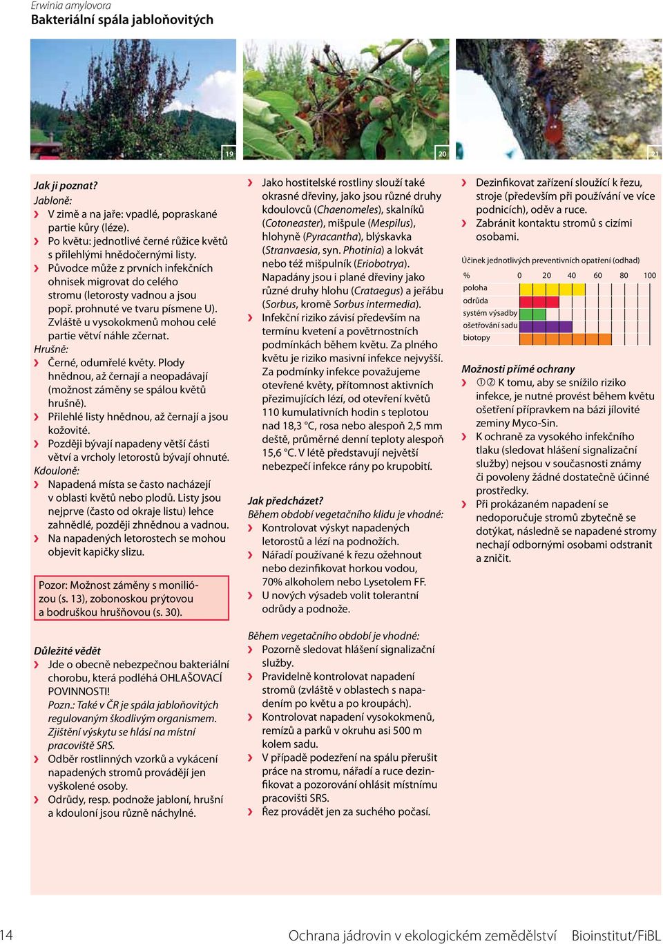 Hrušně: Černé, odumřelé květy. Plody hnědnou, až černají a neopadávají (možnost záměny se spálou květů hrušně). Přilehlé listy hnědnou, až černají a jsou kožovité.