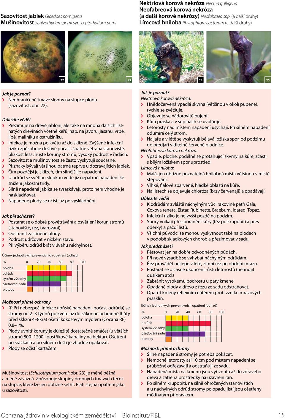 (a další druhy) Límcová hniloba Phytophtora cactorum (a další druhy) 22 23 24 25 Jak je poznat? Neohraničené tmavé skvrny na slupce plodu (sazovitost, obr. 22).