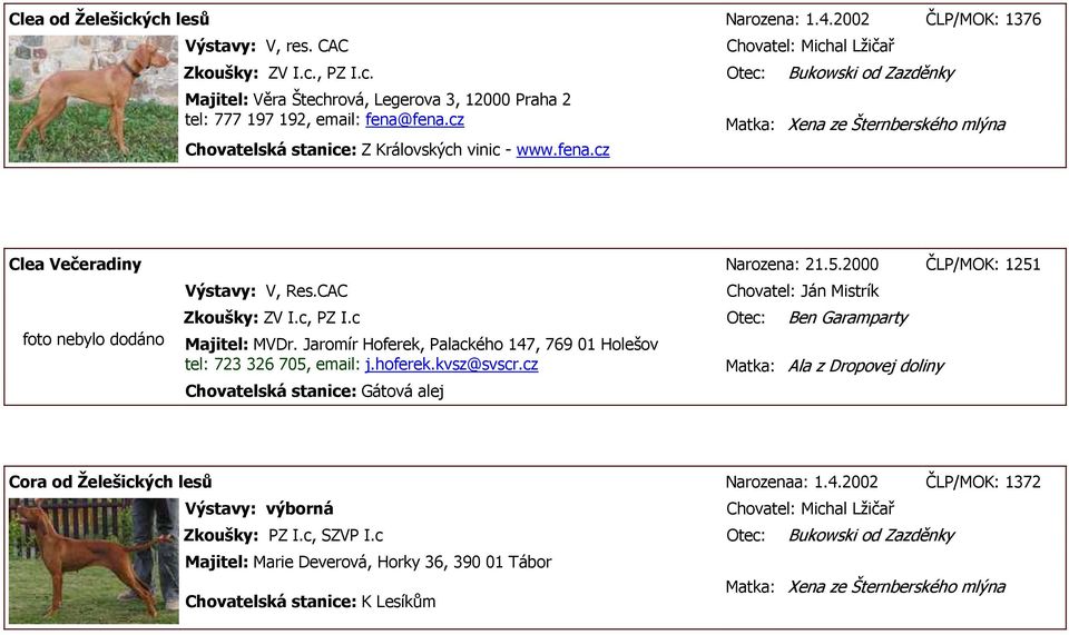 CAC Chovatel: Ján Mistrík Zkoušky: ZV I.c, PZ I.c Otec: Ben Garamparty Majitel: MVDr. Jaromír Hoferek, Palackého 147, 769 01 Holešov tel: 723 326 705, email: j.hoferek.kvsz@svscr.