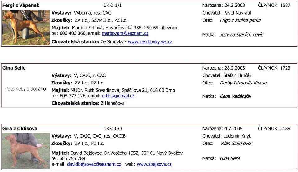 zesrbovky.wz.cz Matka: Jesy zo Starých Levíc Gina Selle Narozena: 28.2.2003 ČLP/MOK: 1723 foto nebylo dodáno V, CAJC, r. CAC Chovatel: Štefan Hrnčár Zkoušky: ZV I.c., PZ I.c. Otec: Derby Istropolis Kincse Majitel: MUDr.