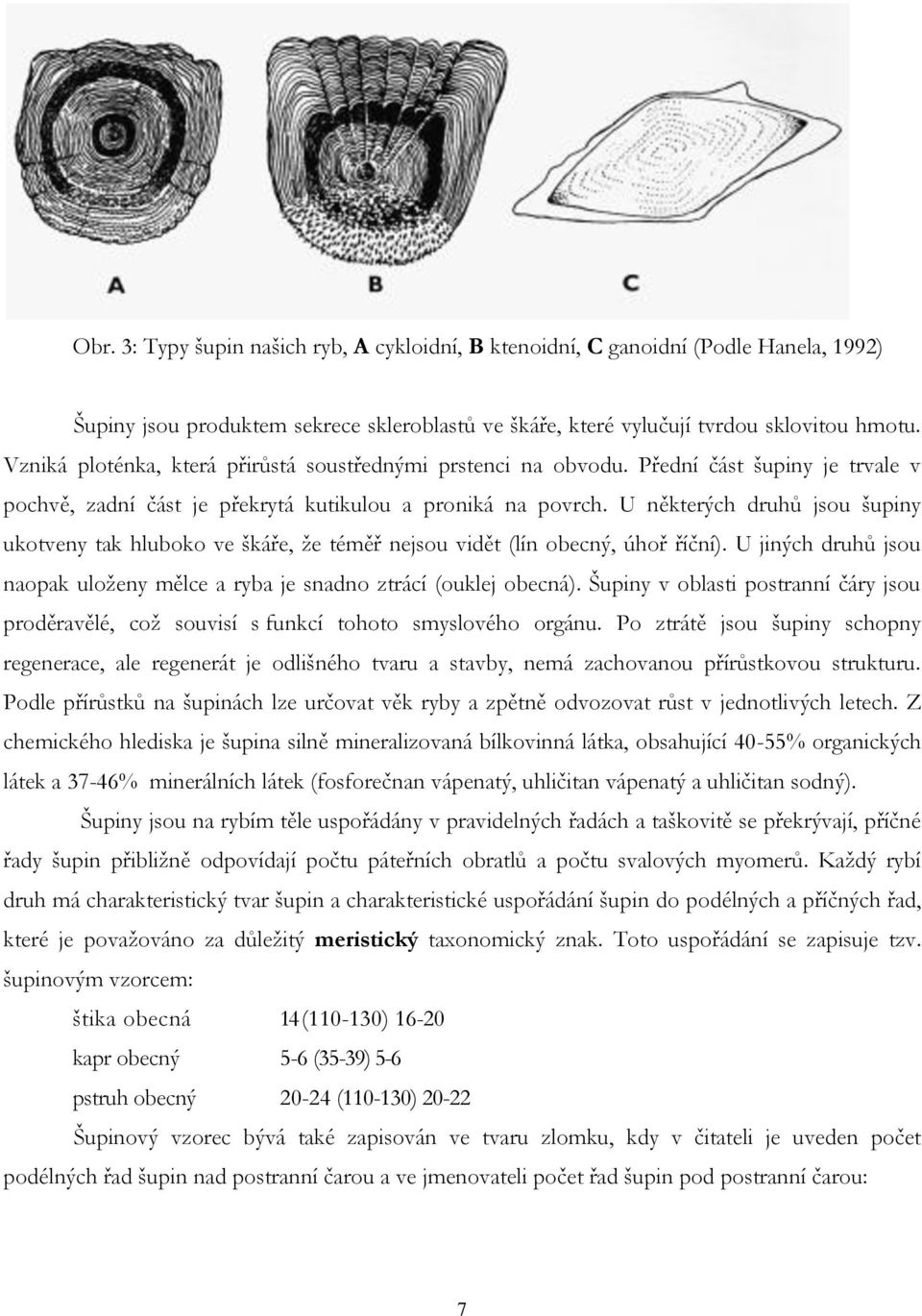 U některých druhů jsou šupiny ukotveny tak hluboko ve škáře, že téměř nejsou vidět (lín obecný, úhoř říční). U jiných druhů jsou naopak uloženy mělce a ryba je snadno ztrácí (ouklej obecná).