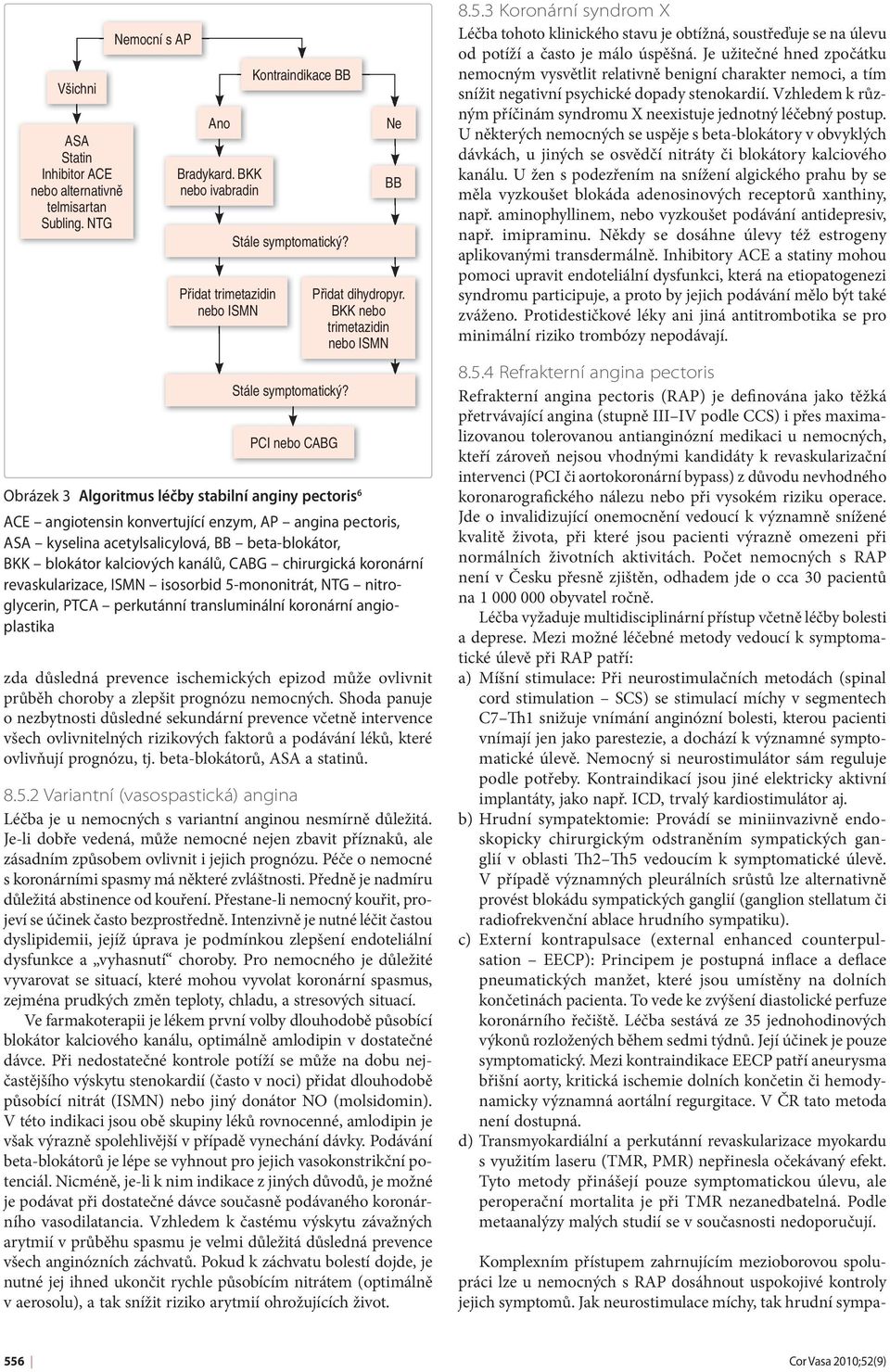 PCI nebo CABG Obrázek 3 Algoritmus léčby stabilní anginy pectoris 6 ACE angiotensin konvertující enzym, AP angina pectoris, ASA kyselina acetylsalicylová, BB beta-blokátor, BKK blokátor kalciových