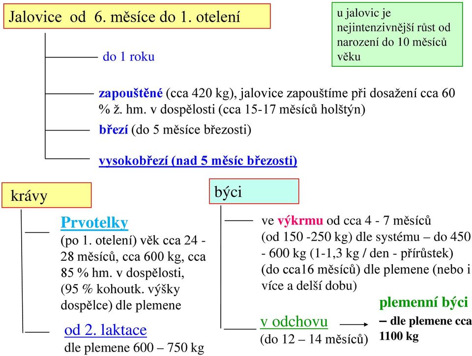 v dospělosti (cca 15-17 měsíců holštýn) březí (do 5 měsíce březosti) vysokobřezí (nad 5 měsíc březosti) krávy Prvotelky (po 1.