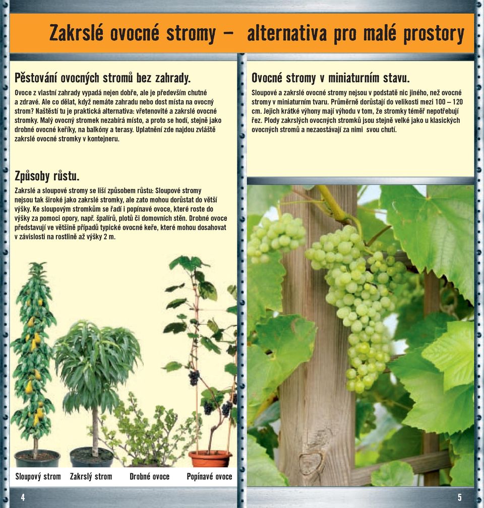 Malý ovocný stromek nezabírá místo, a proto se hodí, stejně jako drobné ovocné keříky, na balkóny a terasy. Uplatnění zde najdou zvláště zakrslé ovocné stromky v kontejneru.