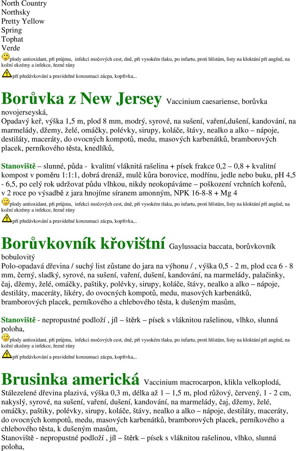 . Borůvka z New Jersey Vaccinium caesariense, borůvka novojerseyská, Opadavý keř, výška 1,5 m, plod 8 mm, modrý, syrové, na sušení, vaření,dušení, kandování, na marmelády, džemy, želé, omáčky,