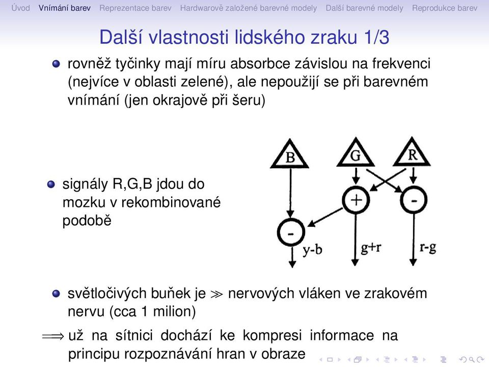 R,G,B jdou do mozku v rekombinované podobě světločivých buňek je nervových vláken ve zrakovém