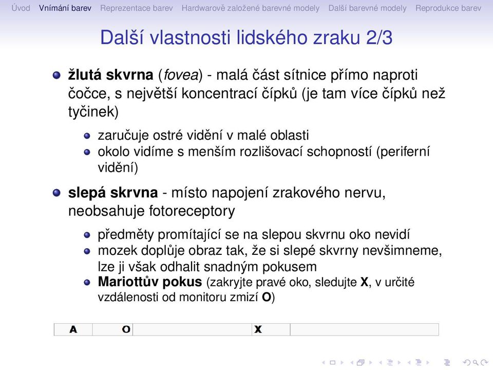 napojení zrakového nervu, neobsahuje fotoreceptory předměty promítající se na slepou skvrnu oko nevidí mozek doplůje obraz tak, že si slepé