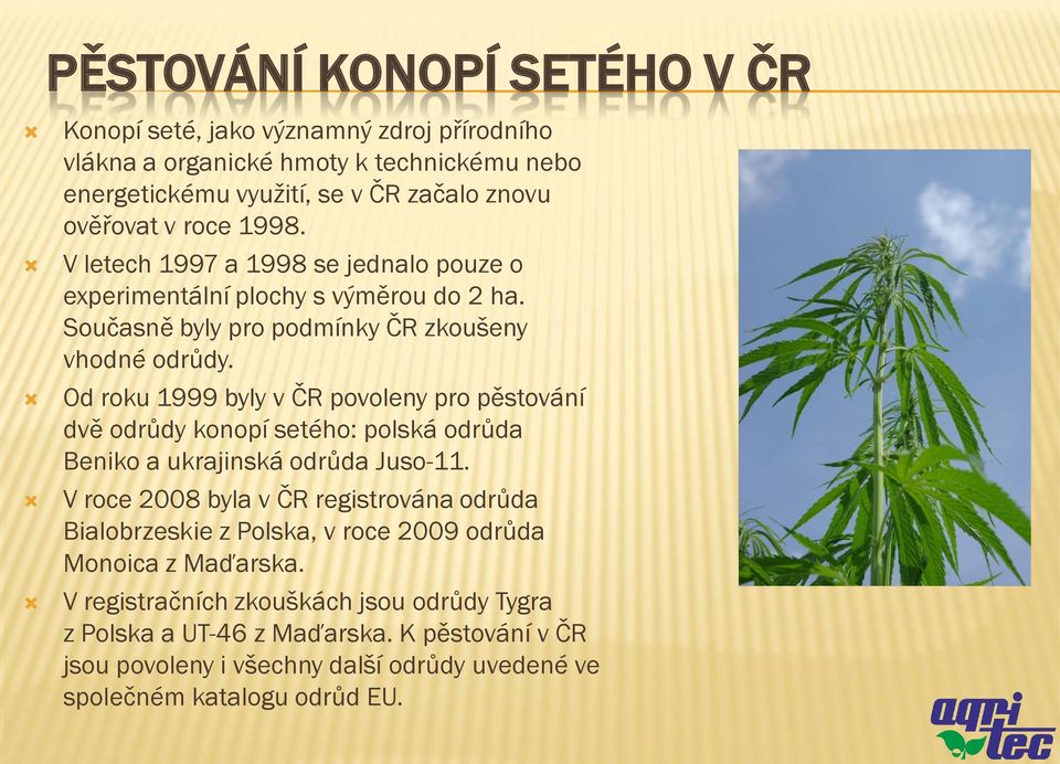 Od roku 1999 byly v ČR povoleny pro pěstování dvě odrůdy konopí setého: polská odrůda Beniko a ukrajinská odrůda Juso-11.