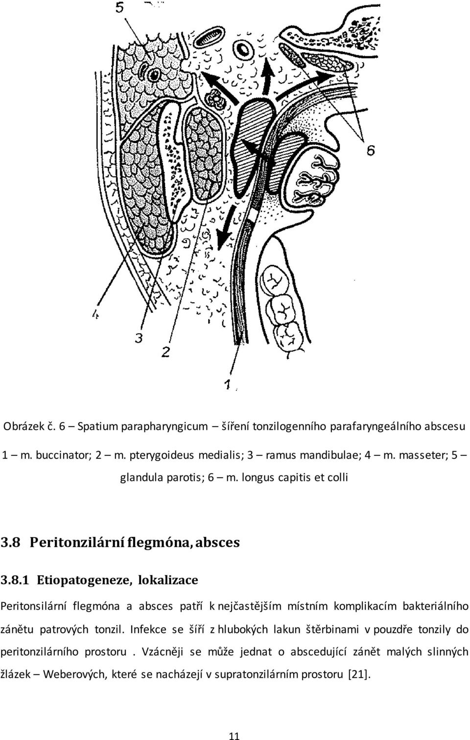 Peritonzilární flegmóna, absces 3.8.