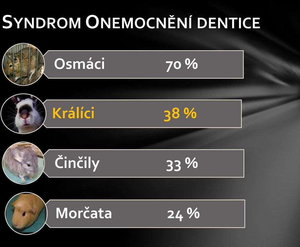 Králíci 38 %