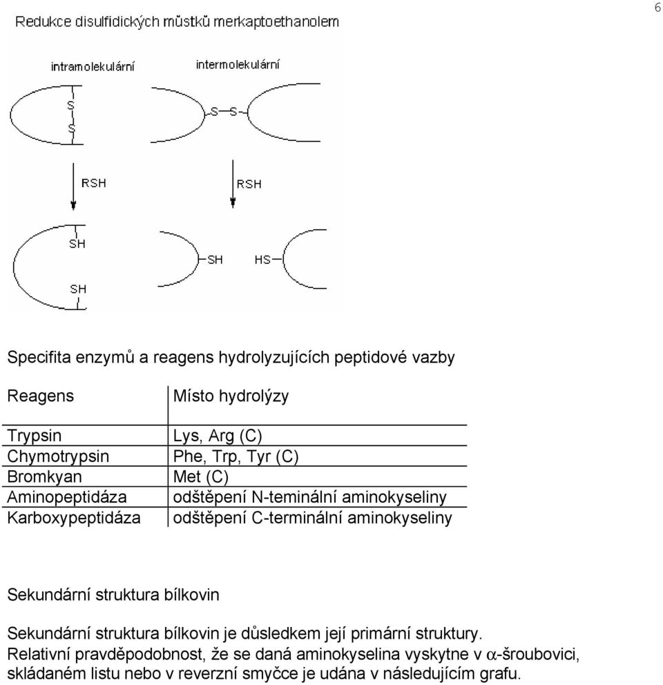 C-terminální aminokyseliny Sekundární struktura bílkovin Sekundární struktura bílkovin je důsledkem její primární struktury.