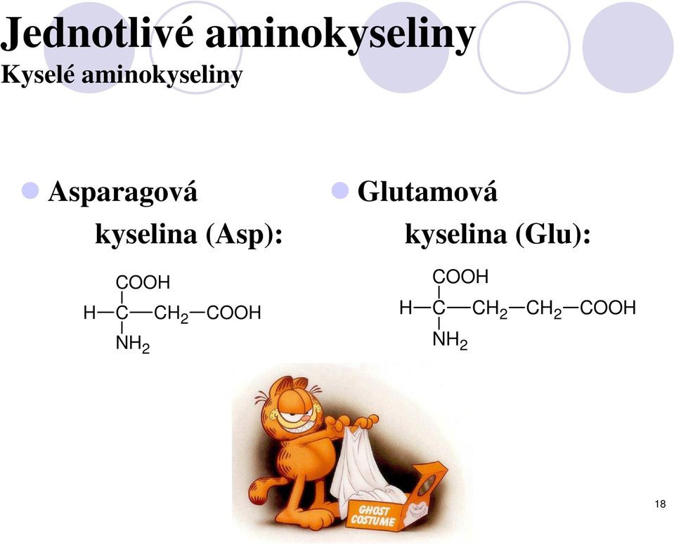 (Asp): Glutamová kyselina (Glu): H