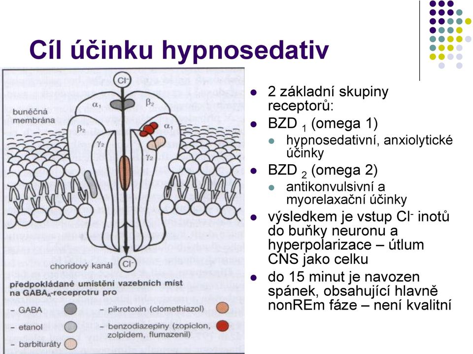 myorelaxační účinky výsledkem je vstup Cl - inotů do buňky neuronu a