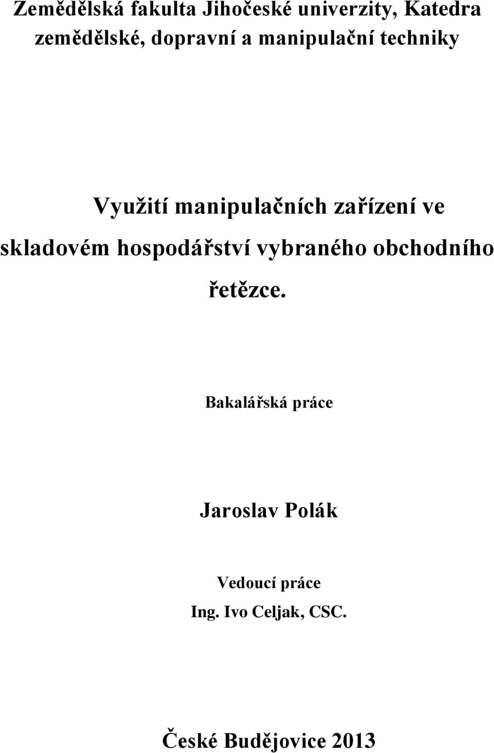 skladovém hospodářství vybraného obchodního řetězce.