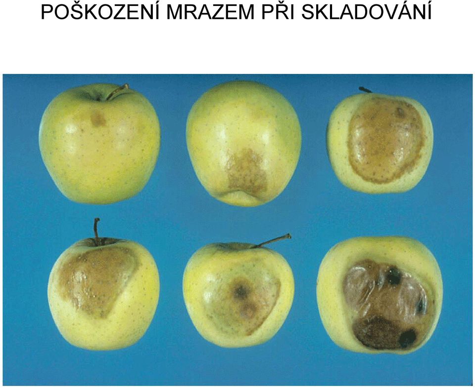 PŘI