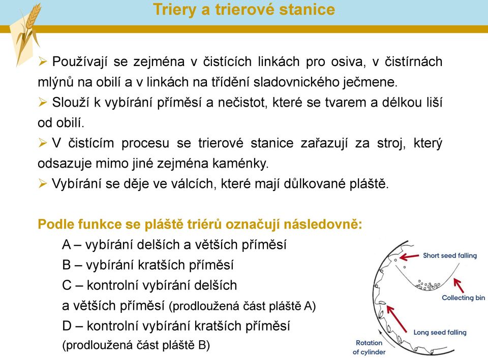 V čistícím procesu se trierové stanice zařazují za stroj, který odsazuje mimo jiné zejména kaménky. Vybírání se děje ve válcích, které mají důlkované pláště.