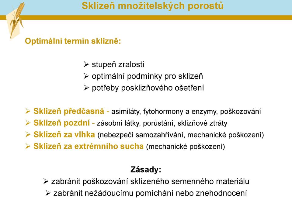 porůstání, sklizňové ztráty Sklizeň za vlhka (nebezpečí samozahřívání, mechanické poškození) Sklizeň za extrémního sucha