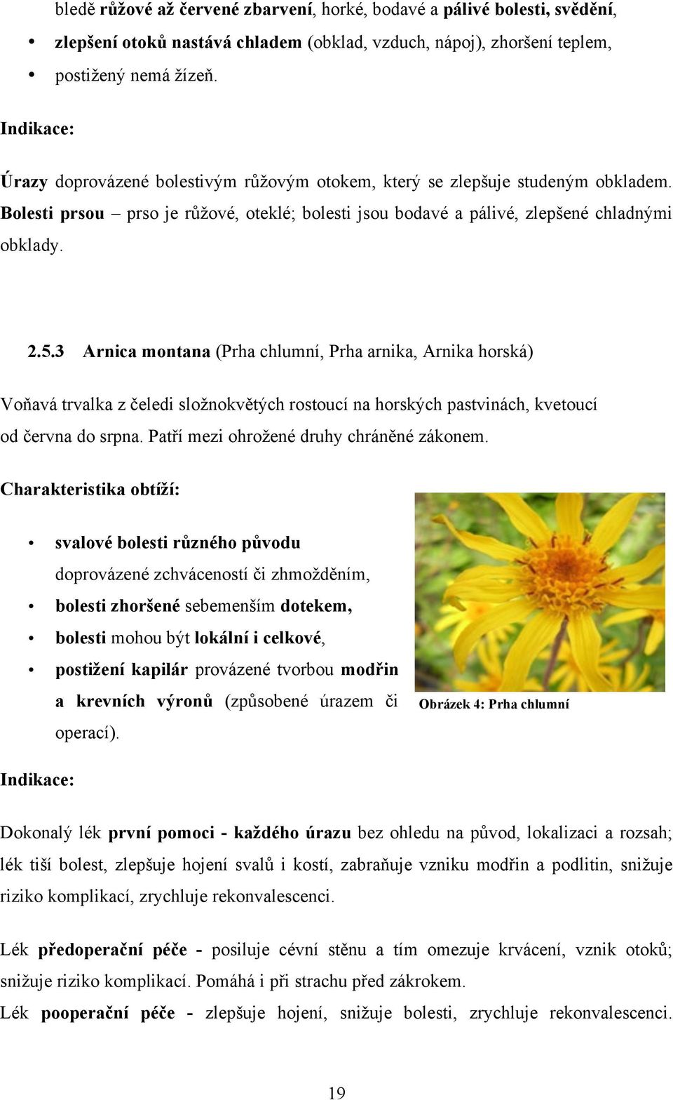 3 Arnica montana (Prha chlumní, Prha arnika, Arnika horská) Voňavá trvalka z čeledi složnokvětých rostoucí na horských pastvinách, kvetoucí od června do srpna.