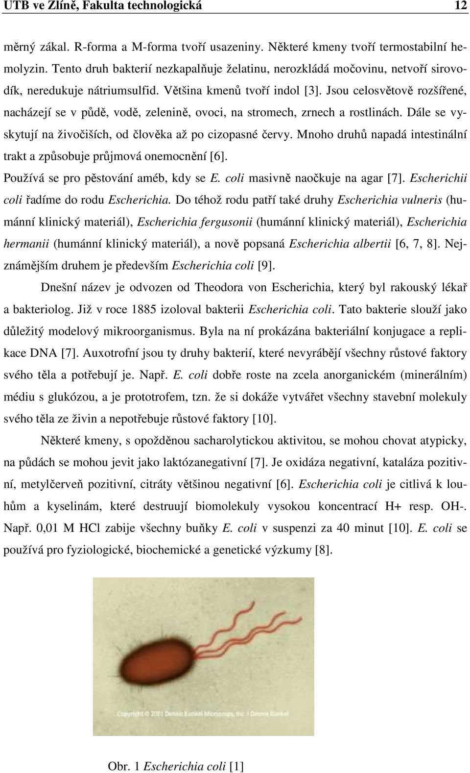 Jsou celosvětově rozšířené, nacházejí se v půdě, vodě, zelenině, ovoci, na stromech, zrnech a rostlinách. Dále se vyskytují na živočiších, od člověka až po cizopasné červy.