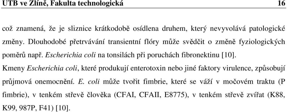 Escherichia coli na tonsilách při poruchách fibronektinu [10].