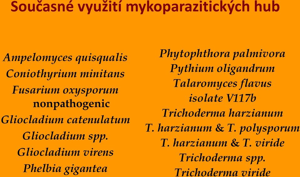 Gliocladium virens Phelbia gigantea Phytophthora palmivora Pythium oligandrum Talaromyces