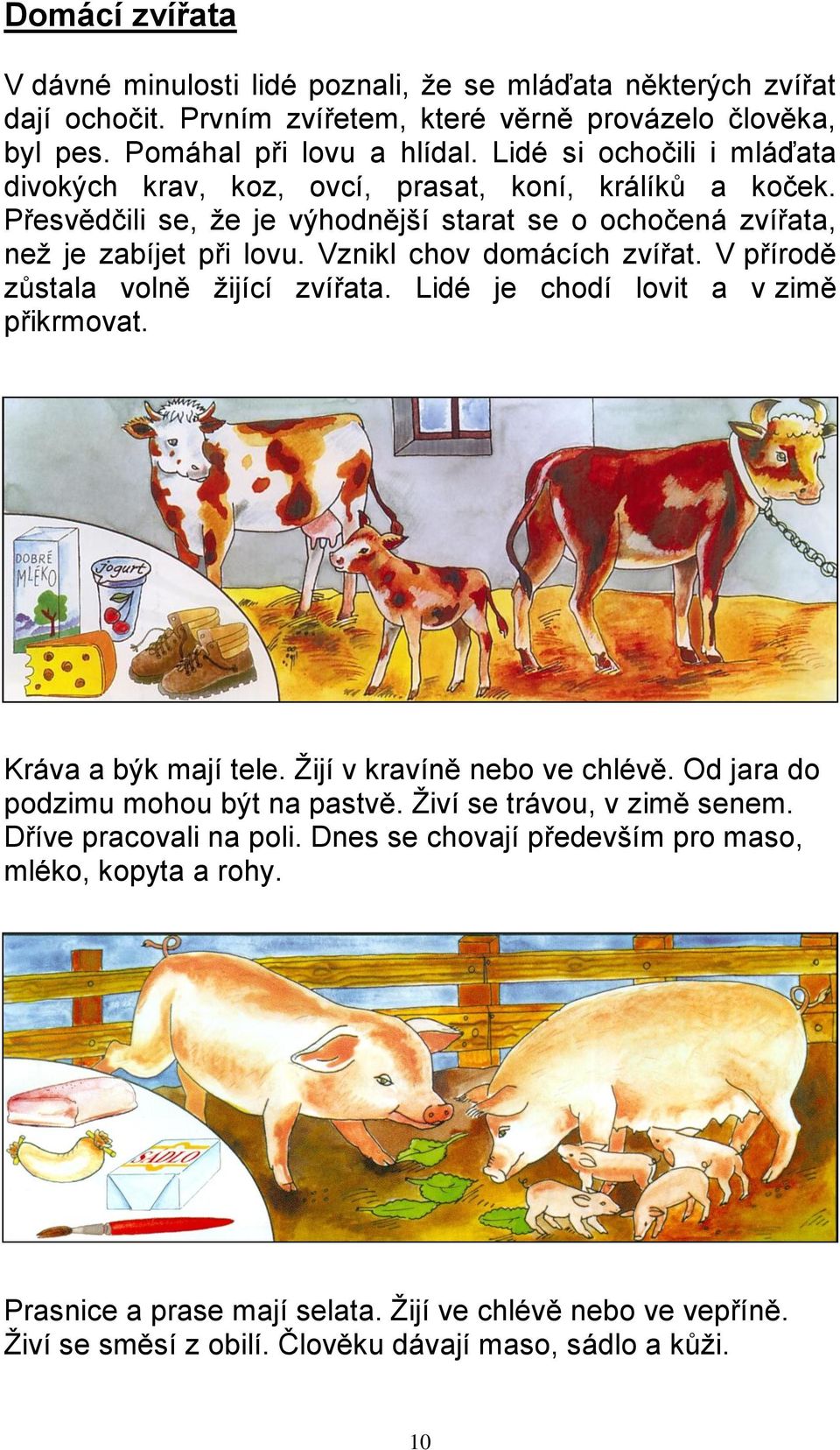 Vznikl chov domácích zvířat. V přírodě zůstala volně žijící zvířata. Lidé je chodí lovit a v zimě přikrmovat. Kráva a býk mají tele. Žijí v kravíně nebo ve chlévě.