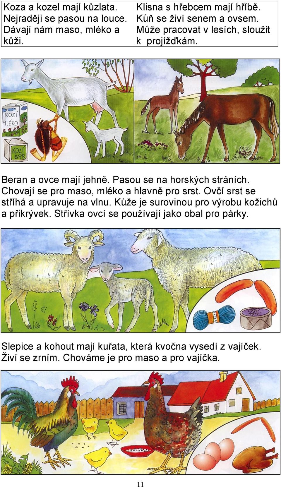 Chovají se pro maso, mléko a hlavně pro srst. Ovčí srst se stříhá a upravuje na vlnu. Kůže je surovinou pro výrobu kožichů a přikrývek.