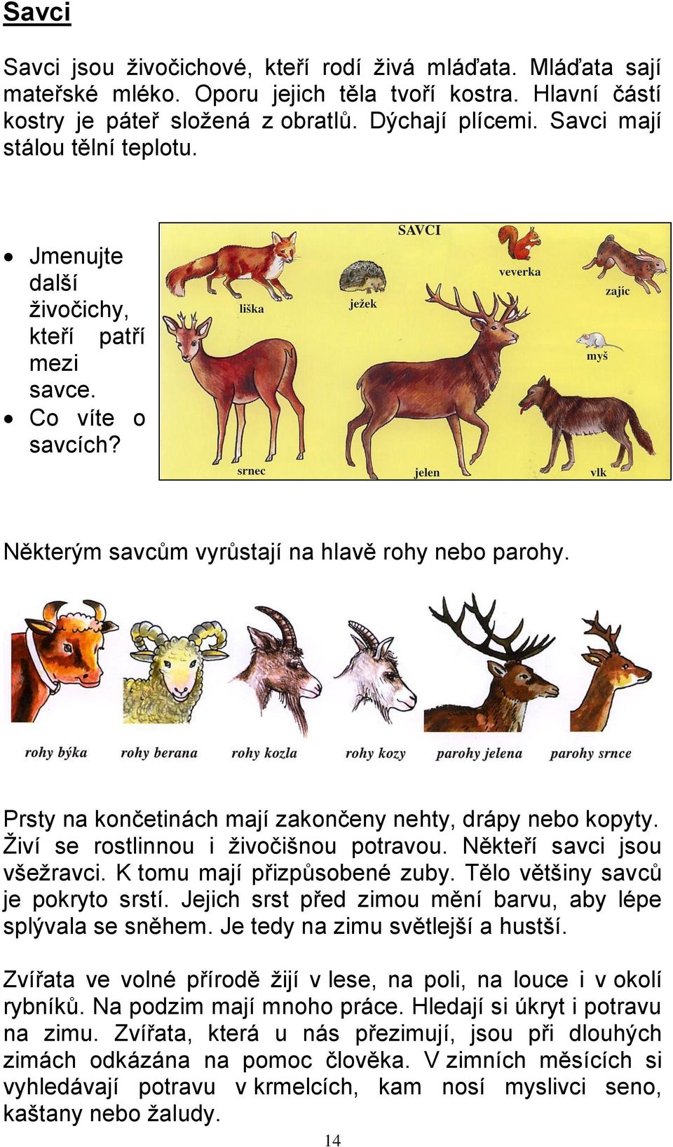 Prsty na končetinách mají zakončeny nehty, drápy nebo kopyty. Živí se rostlinnou i živočišnou potravou. Někteří savci jsou všežravci. K tomu mají přizpůsobené zuby.