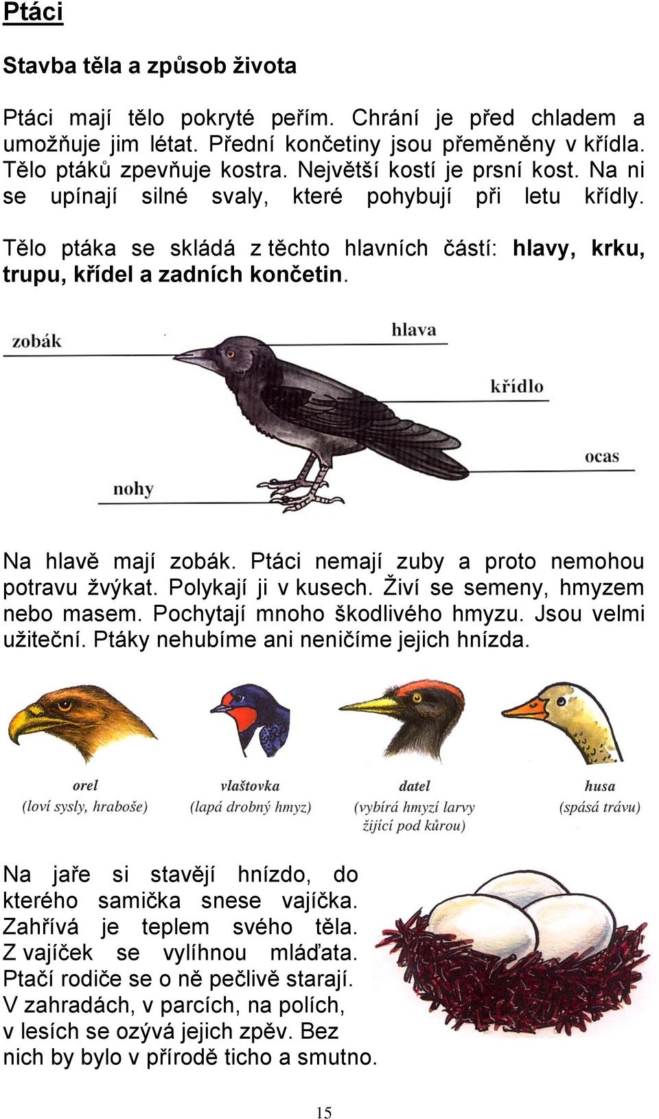 Na hlavě mají zobák. Ptáci nemají zuby a proto nemohou potravu žvýkat. Polykají ji v kusech. Živí se semeny, hmyzem nebo masem. Pochytají mnoho škodlivého hmyzu. Jsou velmi užiteční.