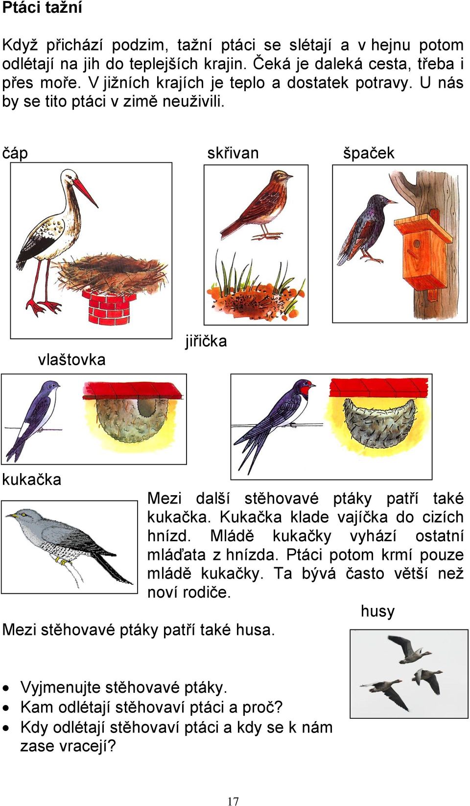 čáp skřivan špaček vlaštovka jiřička kukačka Mezi další stěhovavé ptáky patří také kukačka. Kukačka klade vajíčka do cizích hnízd.