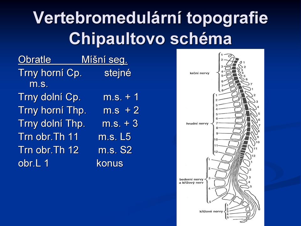 m.s + 2 Trny dolní Thp. m.s. + 3 Trn obr.th 11 m.s. L5 Trn obr.