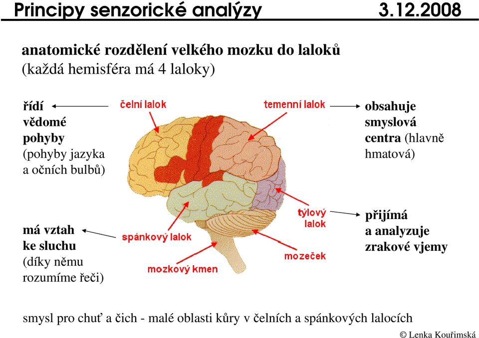 lalok (každá