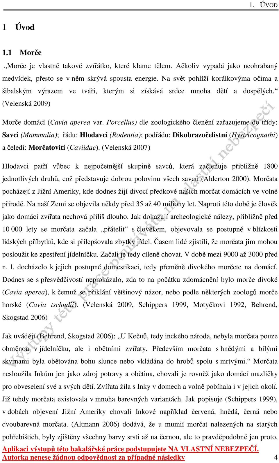 Porcellus) dle zoologického členění zařazujeme do třídy: Savci (Mammalia); řádu: Hlodavci (Rodentia); podřádu: Dikobrazočelistní (Hystricognathi) a čeledi: Morčatovití (Caviidae).