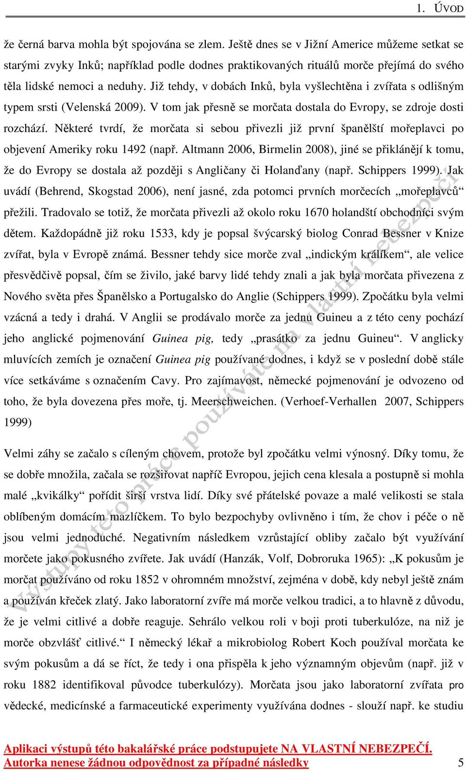 Již tehdy, v dobách Inků, byla vyšlechtěna i zvířata s odlišným typem srsti (Velenská 2009). V tom jak přesně se morčata dostala do Evropy, se zdroje dosti rozchází.