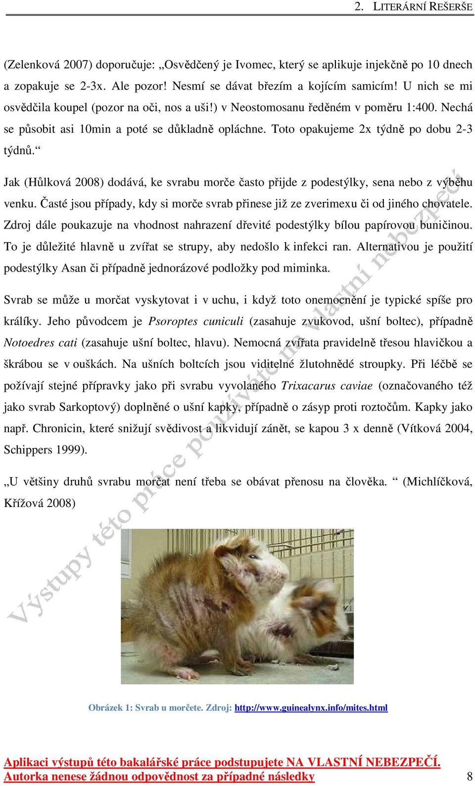 Jak (Hůlková 2008) dodává, ke svrabu morče často přijde z podestýlky, sena nebo z výběhu venku. Časté jsou případy, kdy si morče svrab přinese již ze zverimexu či od jiného chovatele.