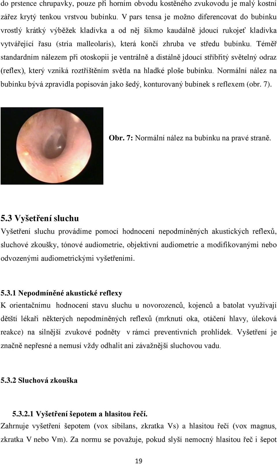 bubínku. Téměř standardním nálezem při otoskopii je ventrálně a distálně jdoucí stříbřitý světelný odraz (reflex), který vzniká roztříštěním světla na hladké ploše bubínku.