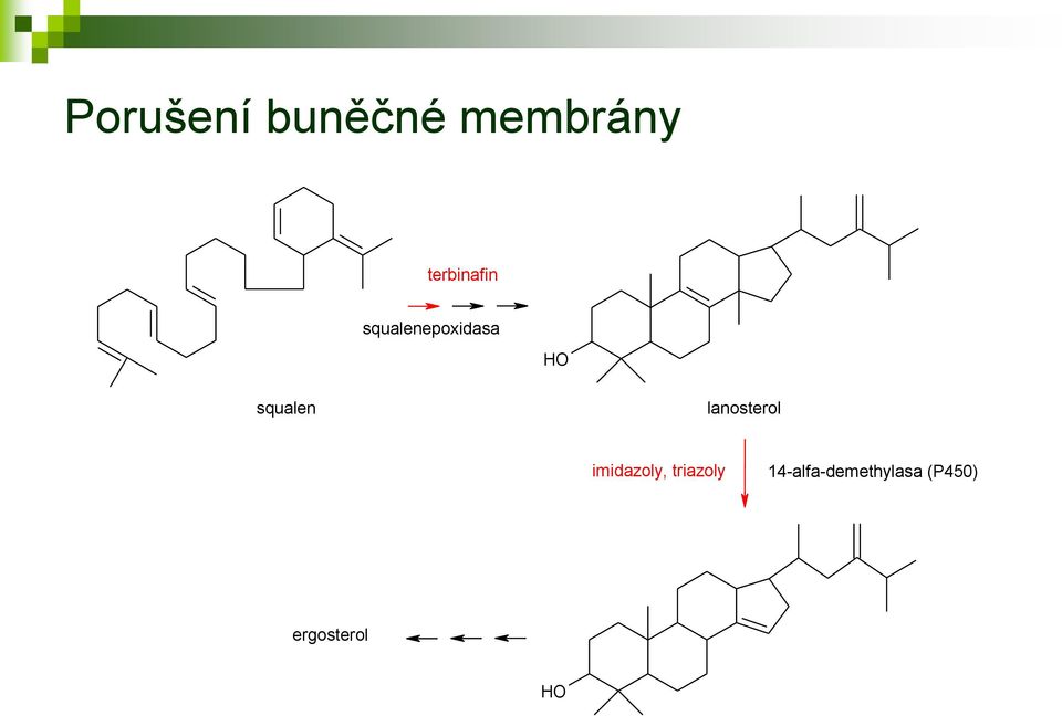 squalen lanosterol imidazoly,