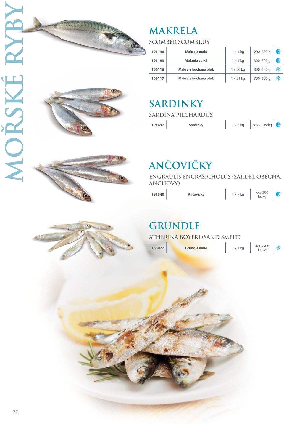 PILCHARDUS 191697 Sardinky 1 x 2 kg cca 40 ks/kg Ančovičky ENGRAULIS ENCRASICHOLUS (SARDEL OBECNÁ, ANCHOVY) 191540