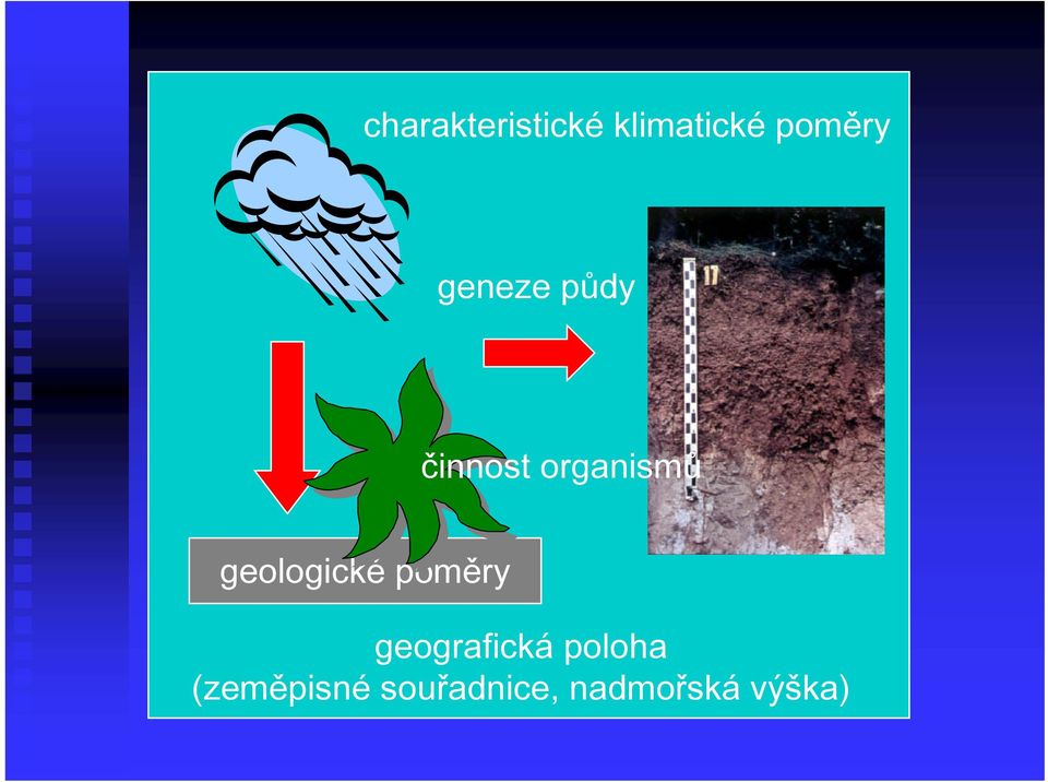 geologické poměry geografická