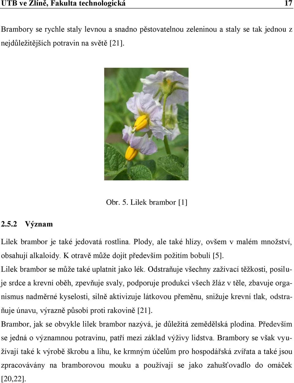 Lilek brambor se může také uplatnit jako lék.